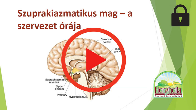 8. MELATONIN - A Pihenes Es Feltoltodes Elengedhetetlen Eleme_DiaVazlat_playlocked