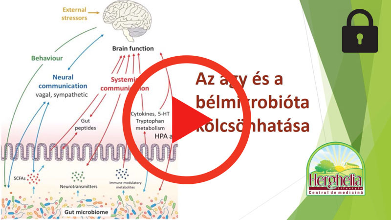 6. Az AGY Taplaleka I. resz_DiaVazlat_playlocked