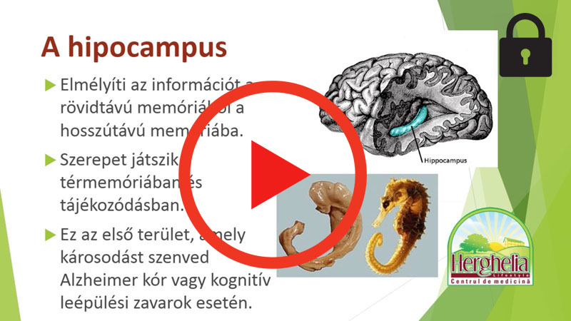 5. UJ NEURONOK Az Agy Hatekonysagaert_DiaVazlat_playlocked